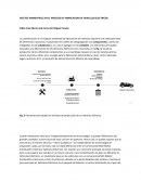EFECTOS AMBIENTALES EN EL PROCESO DE FABRICACION DE VEHICULOS ELECTRICOS