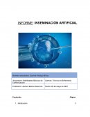 Inseminación Artificial