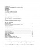 DIAGNÓSTICO DEL MERCADO Y ANALISIS DOFA