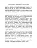 MUSEO DE MEMORIA Y TOLERANCIA DE LA CIUDAD DE MÉXICO