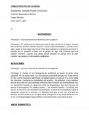 ANALISIS DE GAMERRO A LA BUENA LECTURA