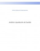 Informe Sistema de Compensaciones Análisis Liquidación de Sueldo