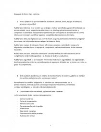 Preguntas auditoría informática. Página 1