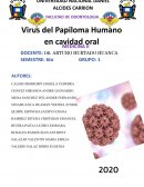 Virus del Papiloma Humano en cavidad oral