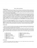 Grecia, su cultura y trascendencia