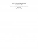 SISTEMAS DE PROTECCION S8 IACC