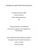 INFORME DE LABORATORIO PROTOZOARIOS