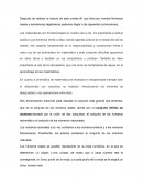 Protocolo números reales