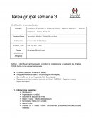 Tarea grupal semana 3 Gestion en salud UNAB