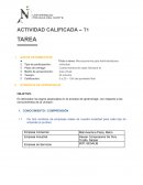 Microeconomìa para Administradores