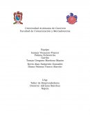 Proyecto helados fritos