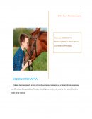 Equinoterapia