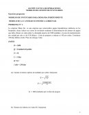 MODELOS DE INVENTARIO PARA DEMANDA INDEPENDIENTE