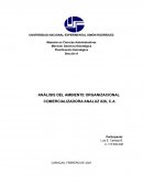 ANÁLISIS DEL AMBIENTE ORGANIZACIONAL COMERCIALIZADORA ANALUZ 826, C.A
