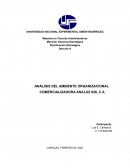 ANÁLISIS DEL AMBIENTE ORGANIZACIONAL COMERCIALIZADORA ANALUZ 826, C.A