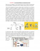 La Televisión Medios de Comunicación Social