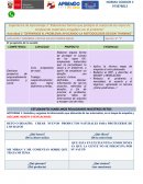 Desarrollo de productos naturales para la protección solar