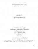 Reconocimiento del modelo CVUDES