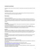 La stop-motion como ejercicio de resistencia