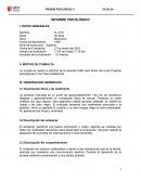 INFORME PSICOLOGICO DE BARON