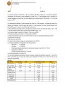 NIC – 2 Existencias