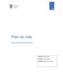 Plan de vida para un año