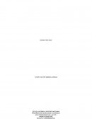 Sopa de letras y crucigrama. LAS SEÑALES DE TRANSITO