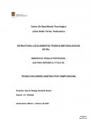 Memoria De Trabajo Profesional