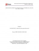 ANALISIS PESTLE. Análisis del entorno general del proyecto