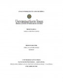 EL FEMINICIDIO COMO PROBLEMATICA SOCIAL