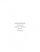 ELEMENTOS DE LA PLANIFICACIÓN