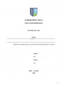 Democracia a nivel mundial