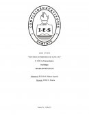 Sociología TRABAJO PRÁCTICO