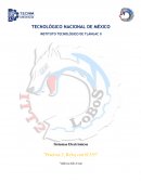 Sistemas Electrónicos “Practica 2, Reloj con IC555”