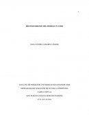 Reconocimiento del entrono virtual udes