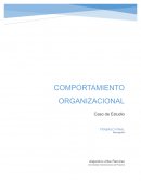Comportamiento organizacional, sus componentes y como afectan cada uno de los elementos