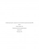 Sistema de protección de seguridad industrial Empresa SUKA S.A