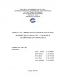 GENÉTICA DEL GANADO MESTIZO CON BOS INDICUS PARA INCREMENTAR LA PRODUCCIÓN LECHERA EN LA COMUNIDAD DE GAVILANCITO ABAJO