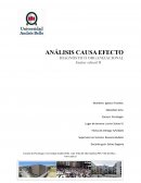 ANÁLISIS CAUSA EFECTO. DIAGNÓSTICO ORGANIZACIONAL