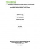 Las estrategias competitivas de Michael Porter y Mintzberg.