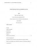 Técnico Laboral en Servicios y Operaciones Microfinancieras