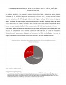 VIOLENCIA PSICOLÓGICA, SEXUAL Y FÍSICA HACIA NIÑAS, NIÑOS Y ADOLESCENTES