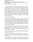 Resumen del centro de educación indígena