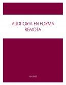 Auditoria en forma remota