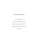 Sistema de información gerencial, NRC 1475