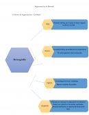 Segmentación de Mercado Criterios de Segmentación – Consumo