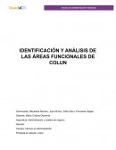 Áreas Funcionales Colun