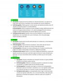 Segmentacion demografica