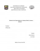 Síntesis de los 5 ejes temáticos en Literatura Infantil, Jóvenes y Adultos