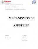 Enfoque de precio y balanza de pago
